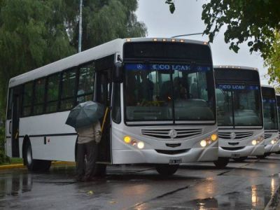 Transpuntano envi� un informe al Municipio para aumentar la tarifa