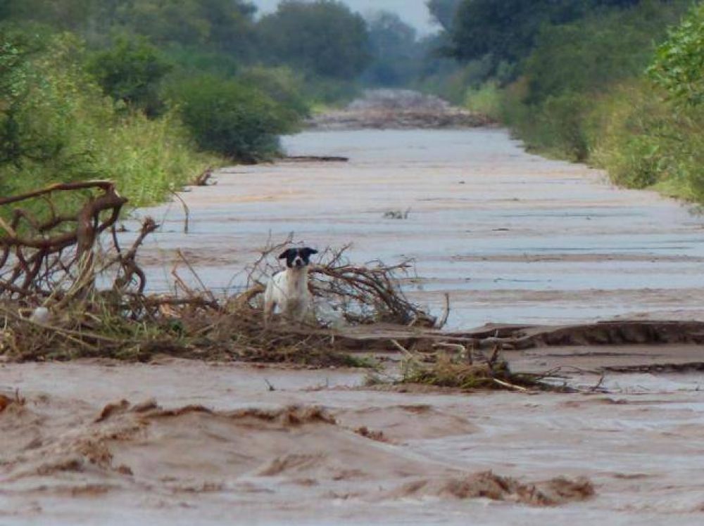 El agua escurre, mientras los vecinos exigen obras h�dricas