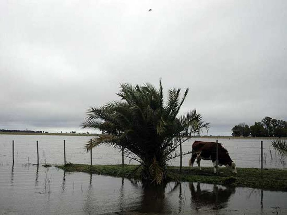 Preocupaci�n en la zona rural por las intensas lluvias