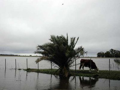 Preocupaci�n en la zona rural por las intensas lluvias