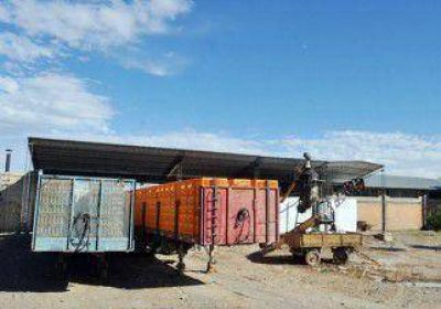 Vecinos presentaron una denuncia contra la av�cola 