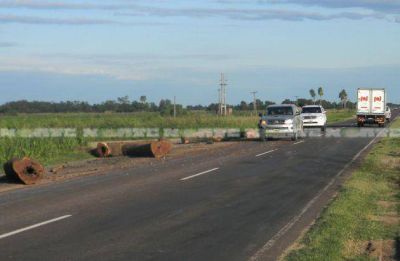 Un cami�n con rollizos perdi� su carga y casi provoca una tragedia en la ruta 16