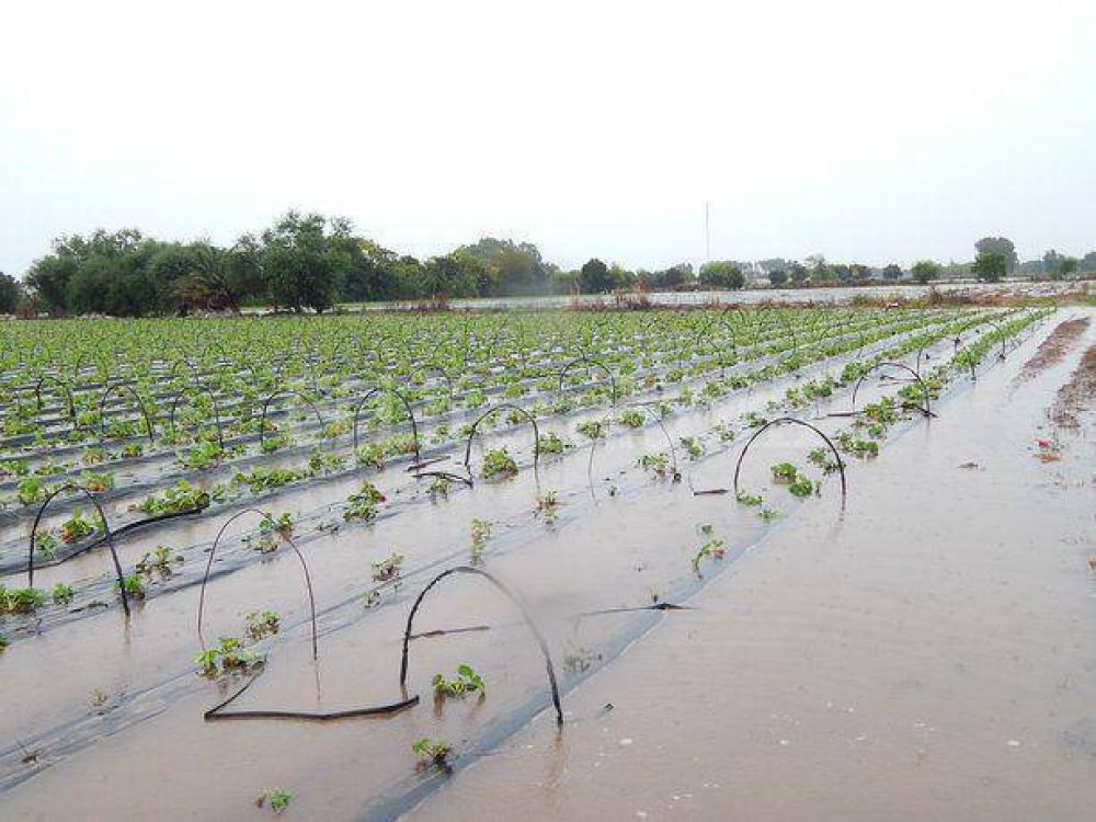 Rutas cortadas, campos anegados y evacuados: las secuelas de la lluvia