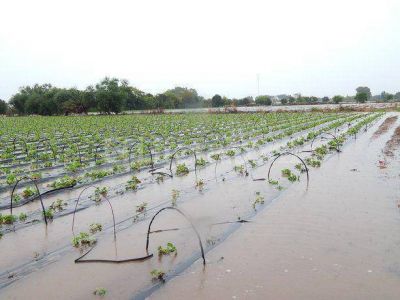 Rutas cortadas, campos anegados y evacuados: las secuelas de la lluvia