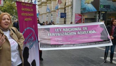 Fertilizaci�n asistida: impulsan una fuerte regulaci�n