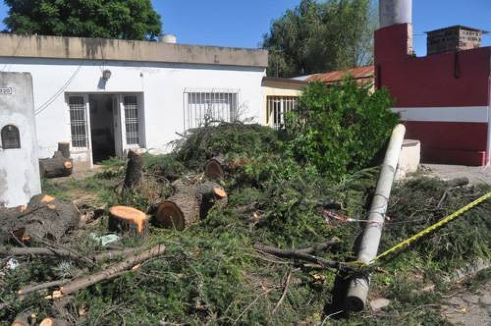 El temporal dej� como consecuencia �rboles y cables ca�dos