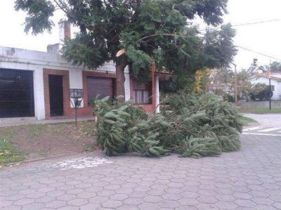 El fuerte viento de la v�spera ocasion� algunos inconvenientes