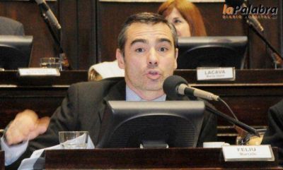 Curetti confirm� la aprobaci�n de la media sanci�n de la ley 12.322