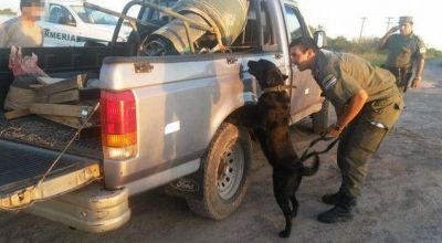Secuestran m�s de 380 kilos de marihuana en la ruta 95