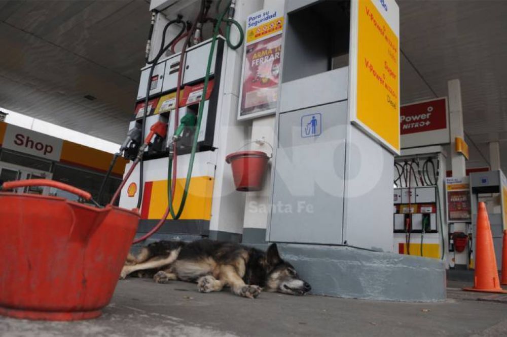 El paro se sinti� de manera dispar en la ciudad capital