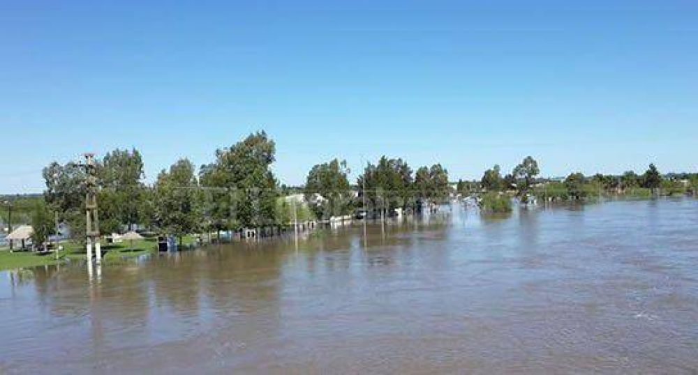 Proponen emergencia agropecuaria