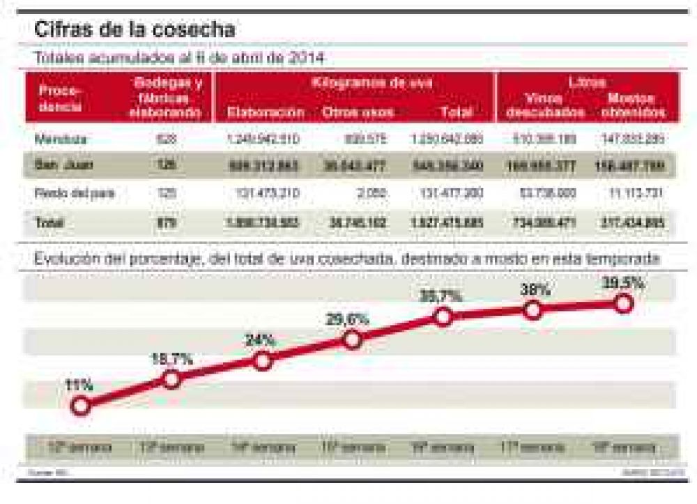 Cosecha: finalmente la merma de uvas fue 25%