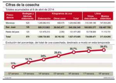 Cosecha: finalmente la merma de uvas fue 25%