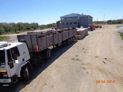 El Jote vendi� casi 30 toneladas de vidrio