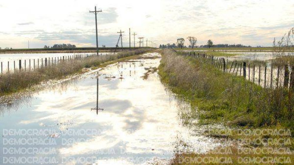 Fuerte preocupaci�n por el estado de los caminos rurales en plena cosecha gruesa