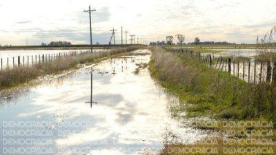 Fuerte preocupaci�n por el estado de los caminos rurales en plena cosecha gruesa