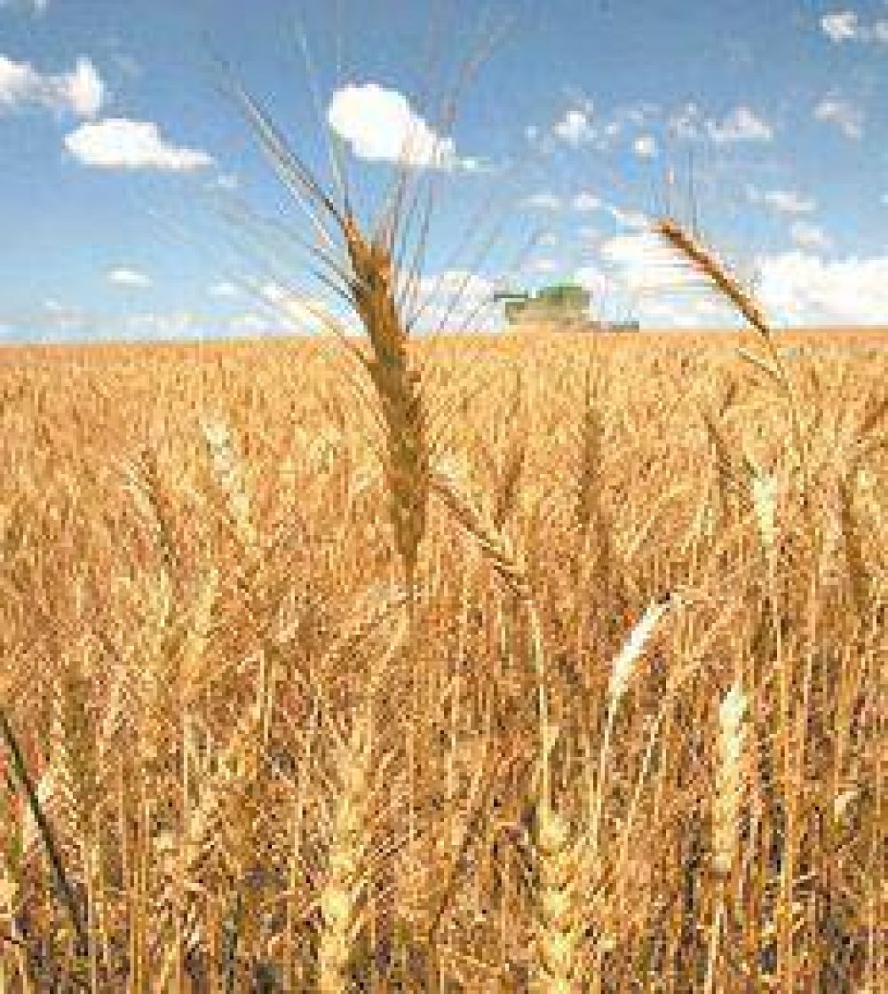 Gui�o al campo del sciolismo