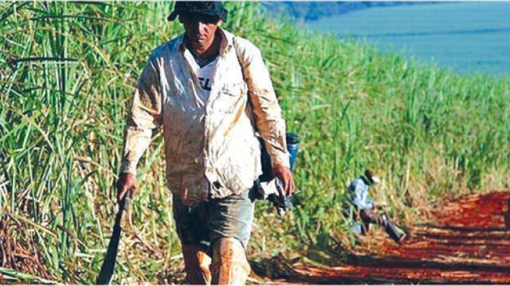 Ingenio San Isidro: iniciaron un paro por tiempo indeterminado