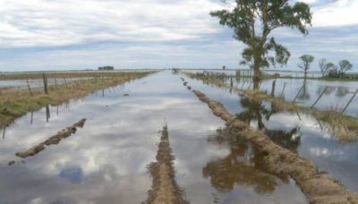 Aunque ya no llueve, el agua asedia ahora a El Fort�n