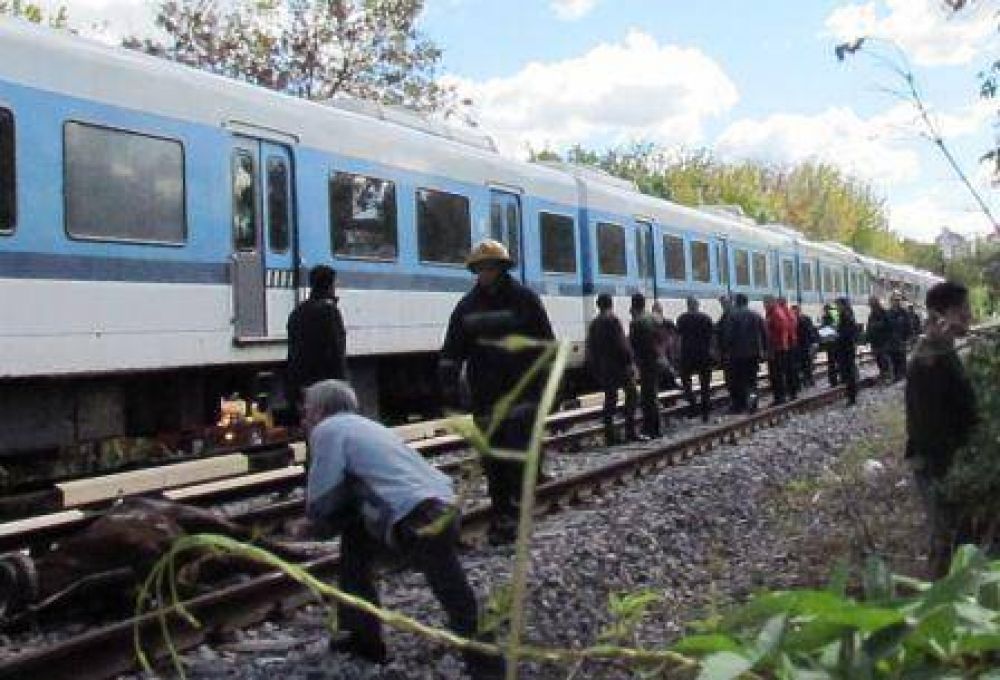 Un tren del Mitre arroll� carro cartonero en Tigre