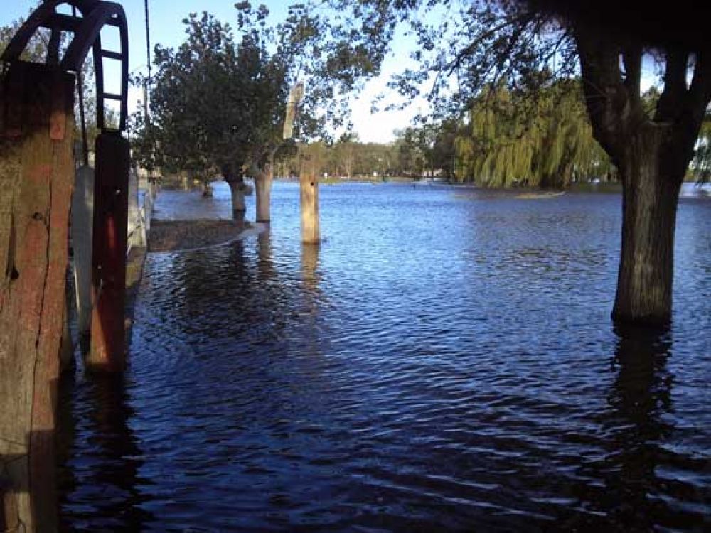 Lluvia y viento afectaron en un 80 % al sistema rural el�ctrico