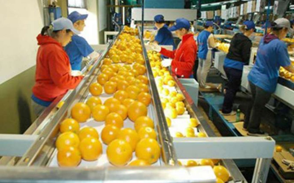 Un proyecto prev� rebajas impositivas a jugos naturales