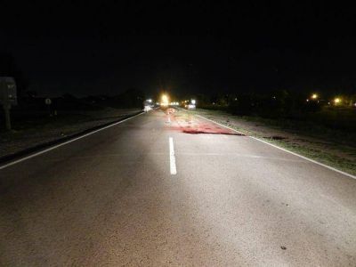 Auto arroll� a dos caballos en la ruta 152