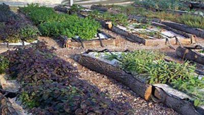 Impulsan la creaci�n de la Rutas Alimentarias del departamento