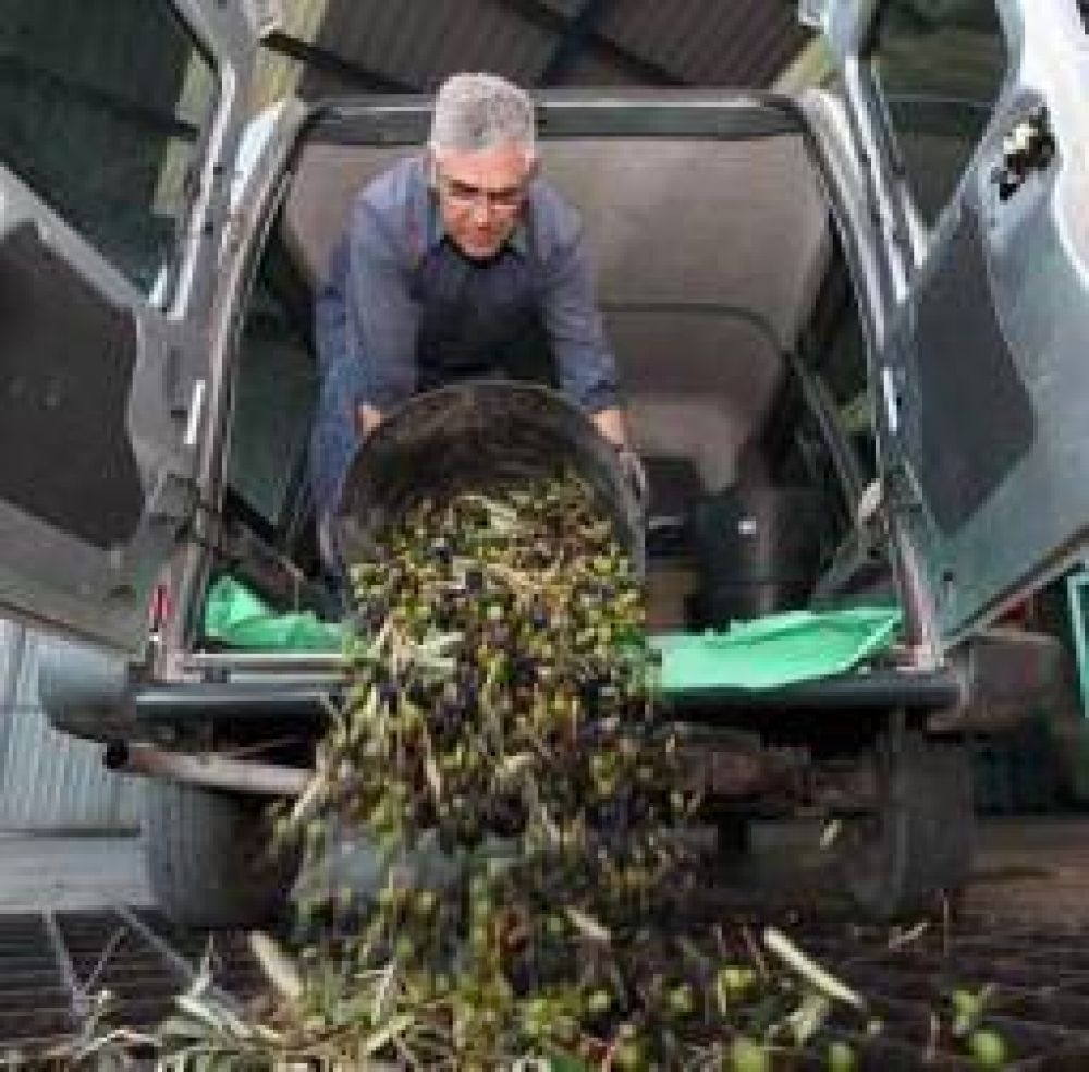 Cientos de operarios sostienen su trabajo gracias a subsidios