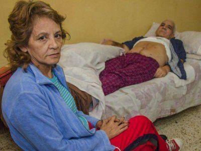 Quejas por la higiene en la Terapia del San Bernardo