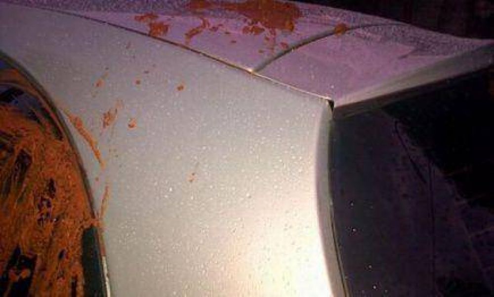 Aseguran que Wipplinger ya tiene antecedentes de violencia