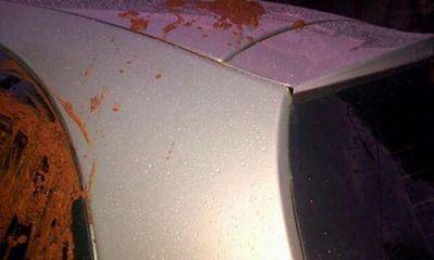 Aseguran que Wipplinger ya tiene antecedentes de violencia