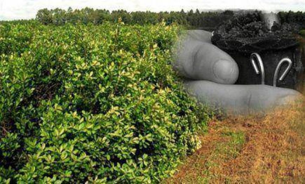 Misiones, una de las provincias del pa�s con menos competitividad   