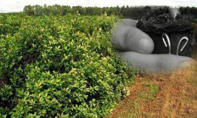 Misiones, una de las provincias del pa�s con menos competitividad   