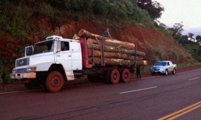 Retuvieron madera nativa y a los camiones que la transportaban