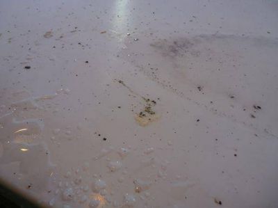 �En el sector cubierto del Minella se llueve como si estuvieran en el medio de la cancha�