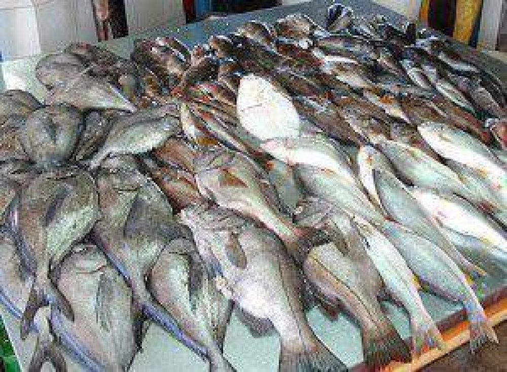 El precio del pescado se mantiene para semana santa