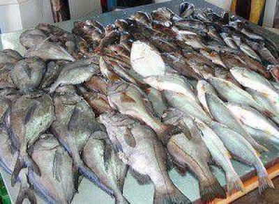 El precio del pescado se mantiene para semana santa