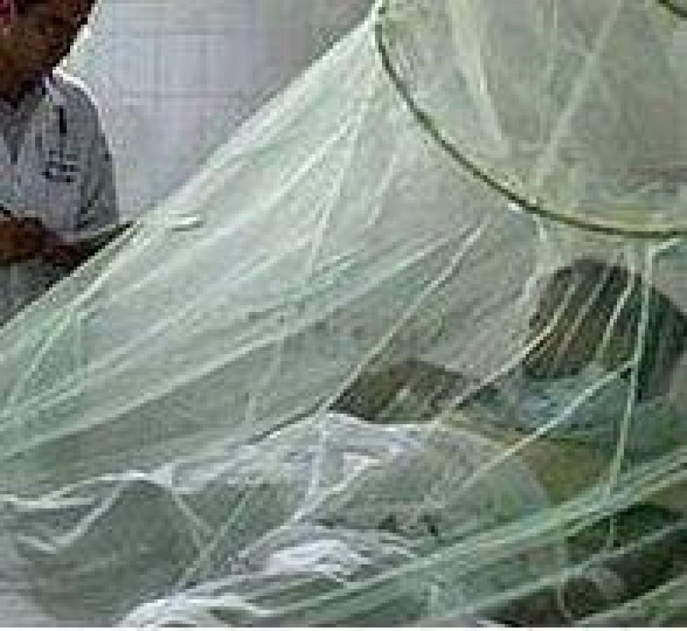 Nuevo caso de Dengue Hemorrgico, esta vez en Aguas Blancas