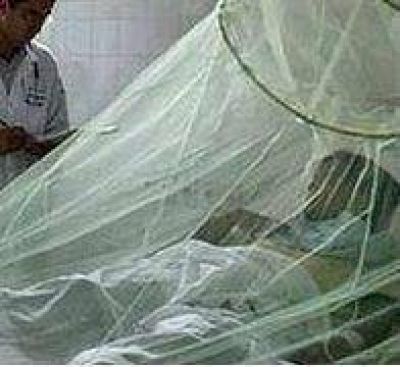 Nuevo caso de Dengue Hemorrágico, esta vez en Aguas Blancas
