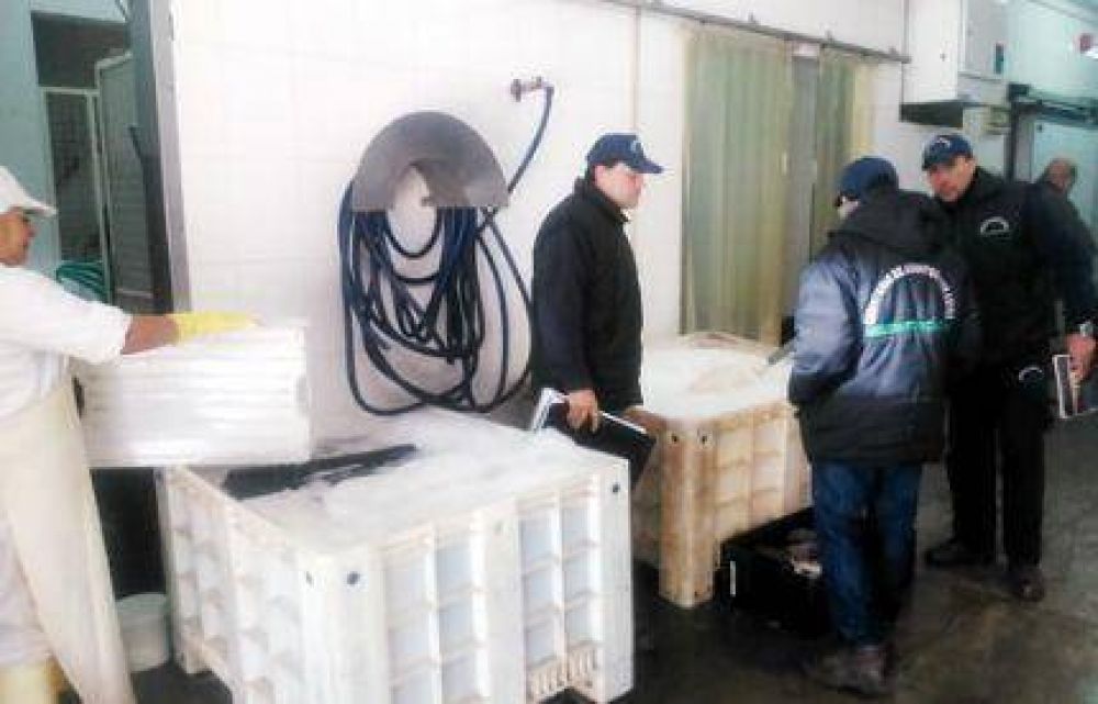 Refuerzan controles en plantas y transportes de pescado por Semana Santa