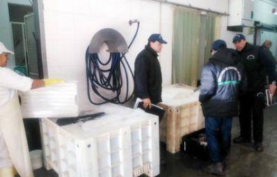 Refuerzan controles en plantas y transportes de pescado por Semana Santa