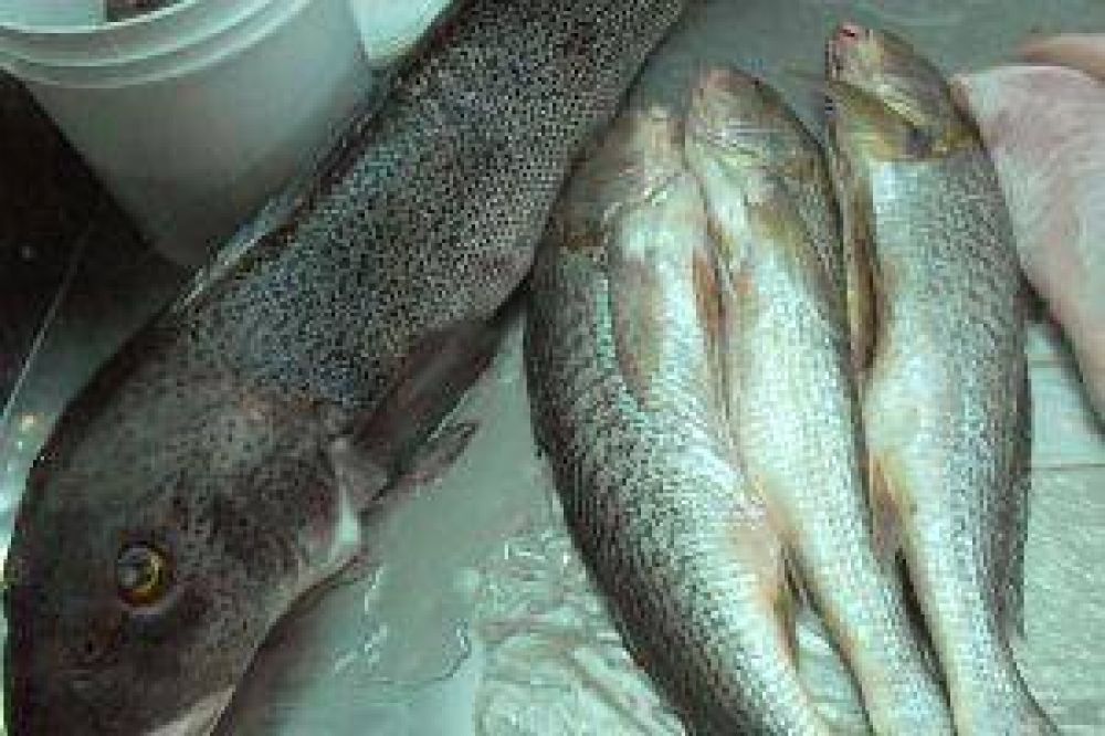 Brindan consejos para evitar intoxicaciones con pescados