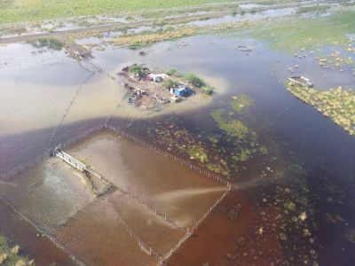 Productores del oeste santafesino vuelven a reclamar soluciones por las inundaciones