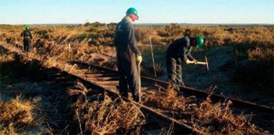 Tres semanas para reparar v�as del Tren Patag�nico 