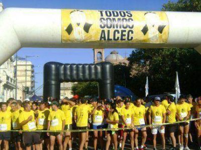 Entrega de kits para la Marat�n de ALCEC