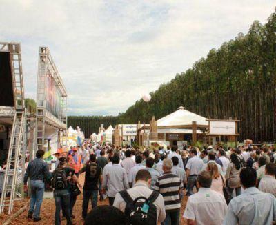 NEA: Forestales frente a la oportunidad de abrirse a nuevos negocios en la Expoforest Brasil 