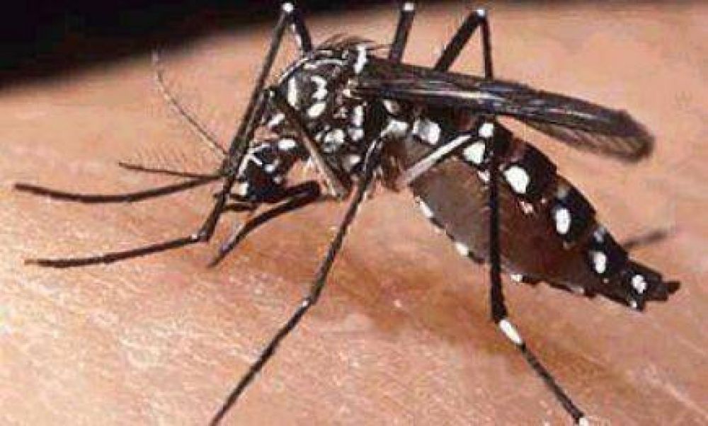 Semana Santa: alerta para viajeros que visiten los pa�ses lim�trofes que presentan casos de dengue