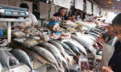 Salud P�blica  difunde consejos �tiles para el consumo sano de pescados y mariscos en Semana Santa