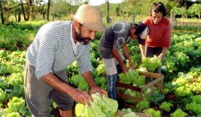 El IPAF NEA se prepara para la fiesta de la Agricultura Familiar
